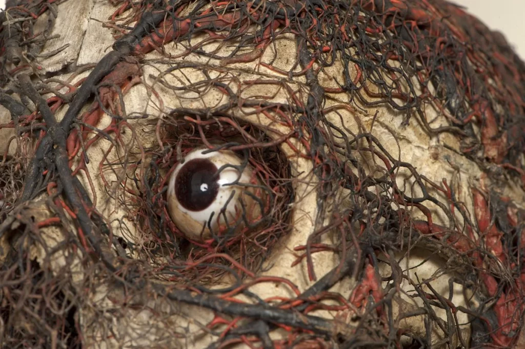 anatomical machine skull eye